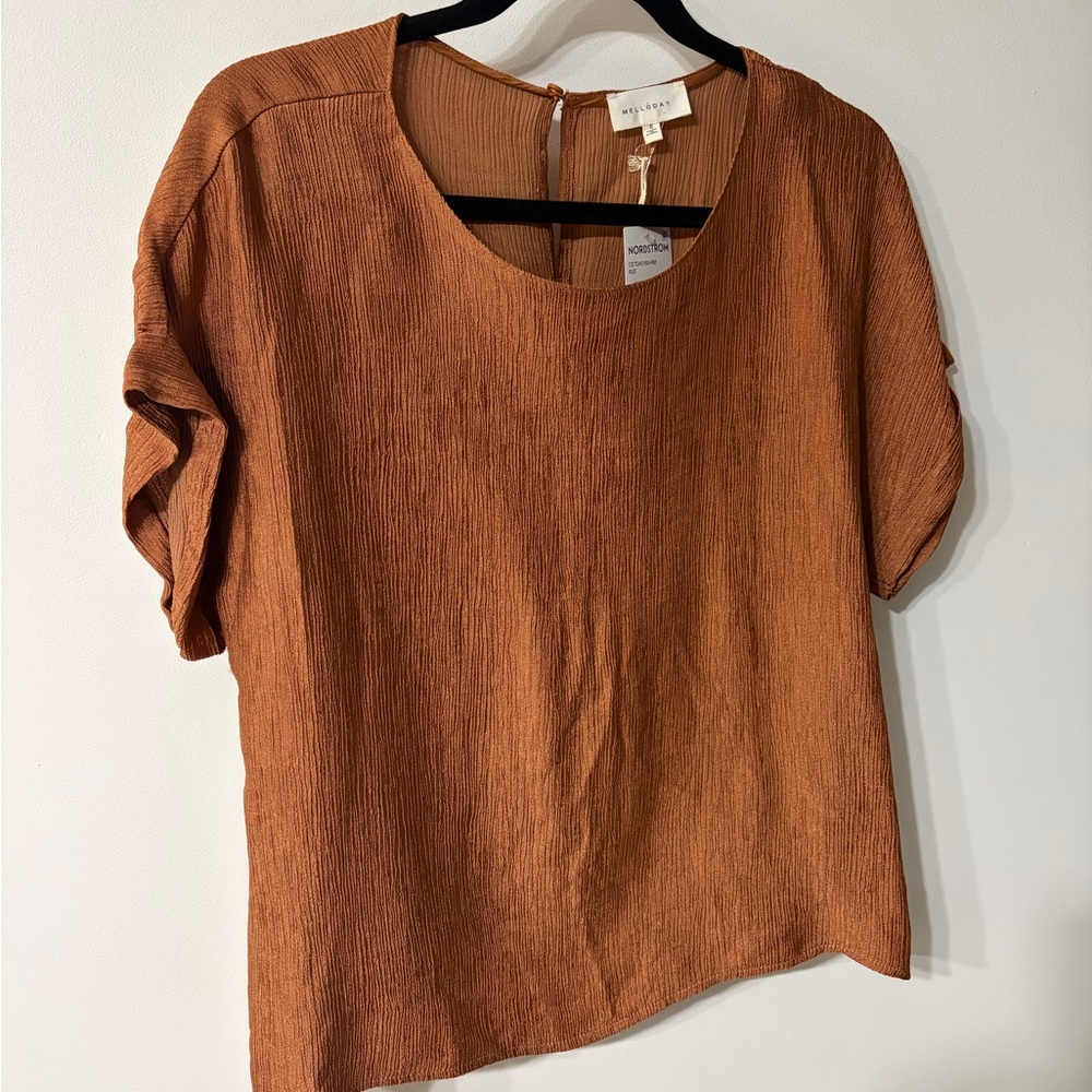 MELLODAY Rust Textured Blouse